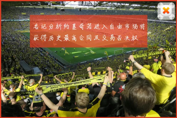 名记分析约基奇若进入自由市场将获得历史最高合同及交易否决权
